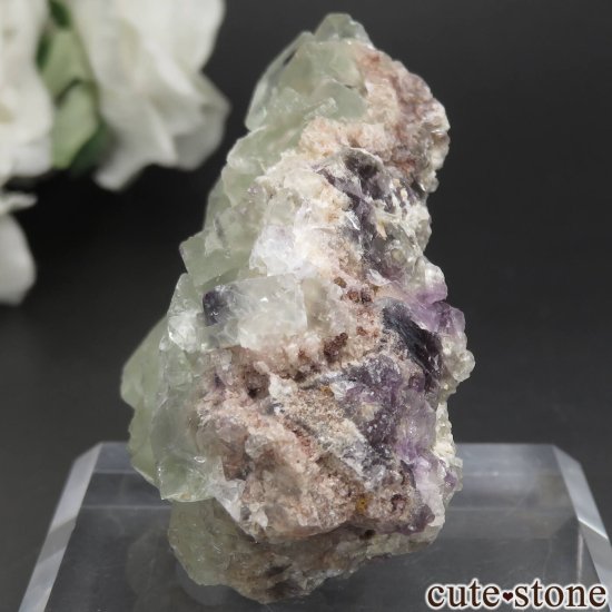 ʥߥӥ Okorusu Mine ե饤Ȥθ No.19μ̿2 cute stone