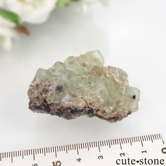 ʥߥӥ Okorusu Mine ե饤Ȥθ No.19μ̿4 cute stone