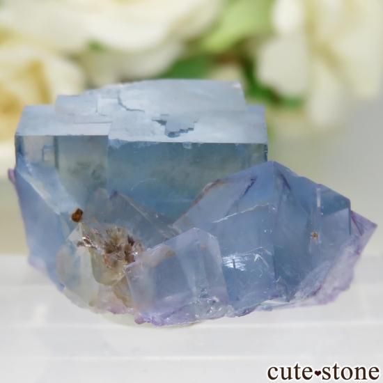 ե La Barre Mine ֥롼ե饤Ȥη뾽ʸСNo.46μ̿1 cute stone