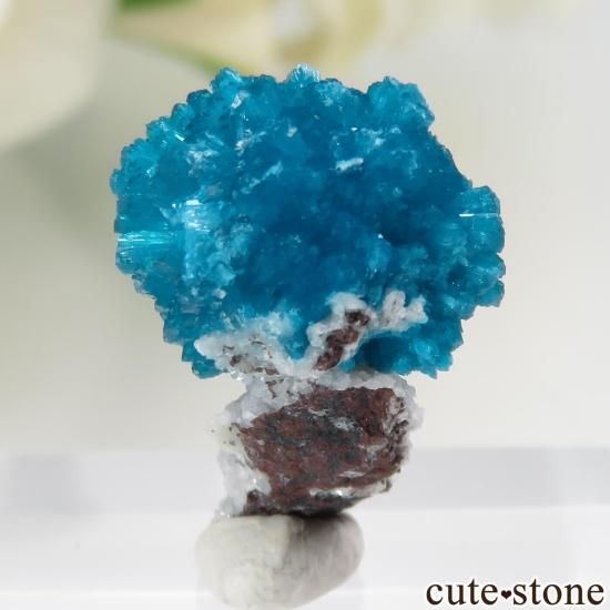  ץ͡ Х󥵥Ȥդ뾽ʸСNo.39μ̿1 cute stone