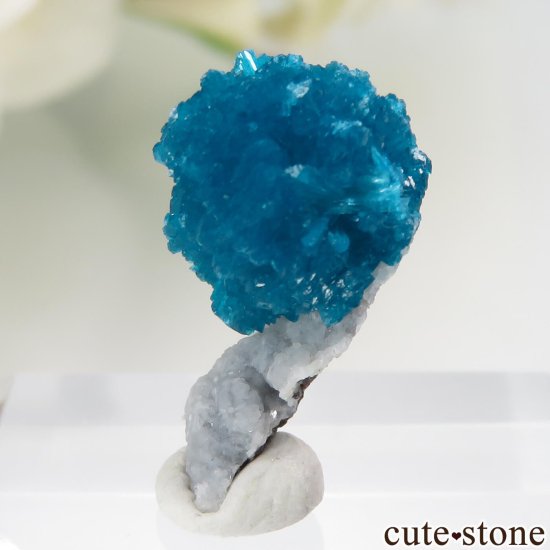  ץ͡ Х󥵥Ȥդ뾽ʸСNo.39μ̿2 cute stone