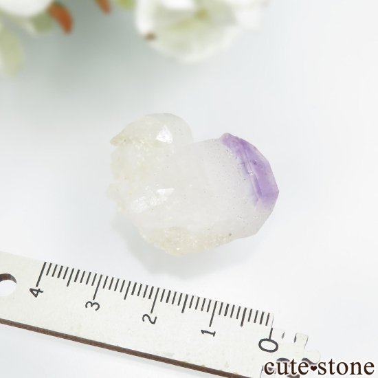 ڥꥯ ֤ʡۥޥ뻺 ġ᥸ȡܼоץġˤθ No.3μ̿4 cute stone