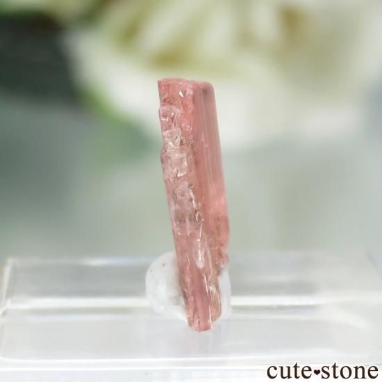 ѥ Shengus ٥ͥʥȤη뾽ʸСNo.7μ̿0 cute stone