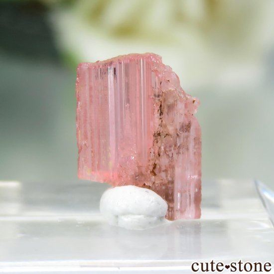 ѥ Shengus ٥ͥʥȤη뾽ʸСNo.7μ̿1 cute stone