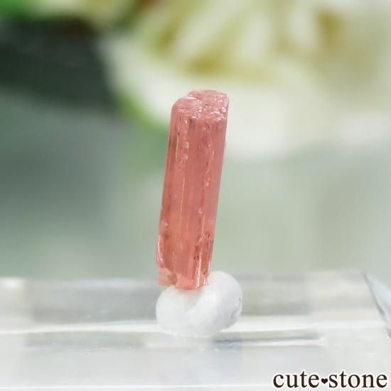 ѥ Shengus ٥ͥʥȤη뾽ʸСNo.7μ̿2 cute stone