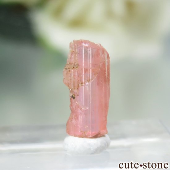 ѥ Shengus ٥ͥʥȤη뾽ʸСNo.8μ̿1 cute stone