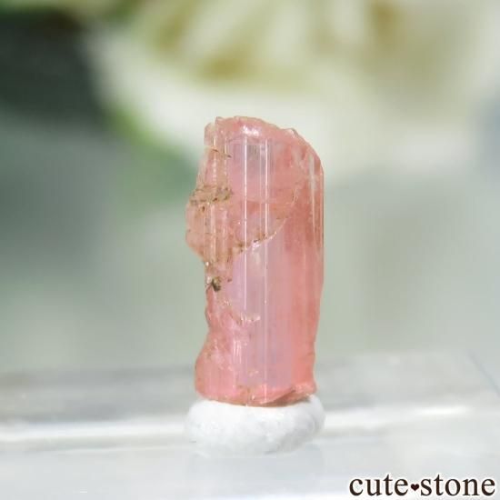 ѥ Shengus ٥ͥʥȤη뾽ʸСNo.8μ̿1 cute stone