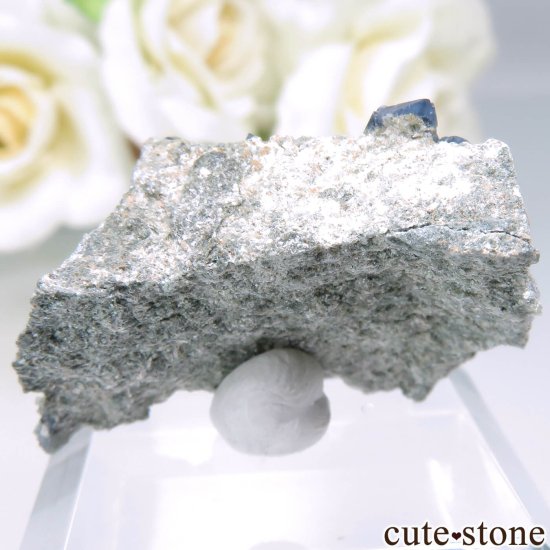 ڥ Olvera ֥롼Ĥդ No.10μ̿0 cute stone