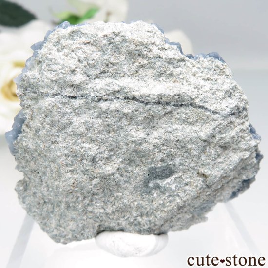 ڥ Olvera ֥롼Ĥդ No.12μ̿0 cute stone