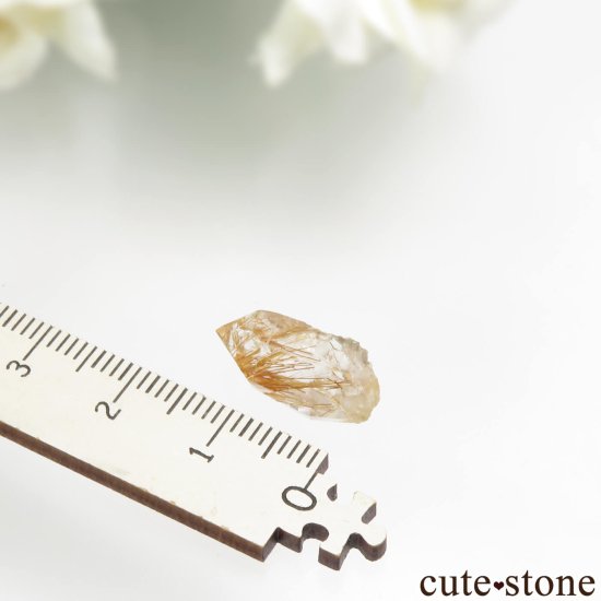 ѥ ޥƥ 륤󥯥Ĥθ No.1μ̿2 cute stone