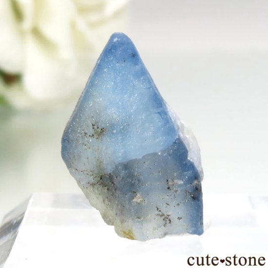 ե˥ Хե㡼 եʥȸ No.16μ̿0 cute stone