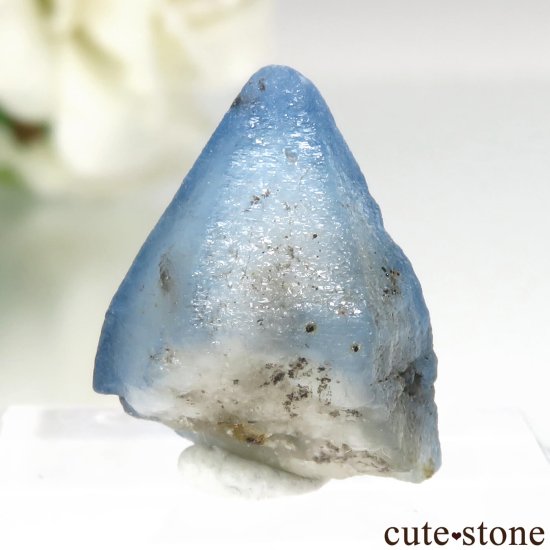 ե˥ Хե㡼 եʥȸ No.16μ̿1 cute stone