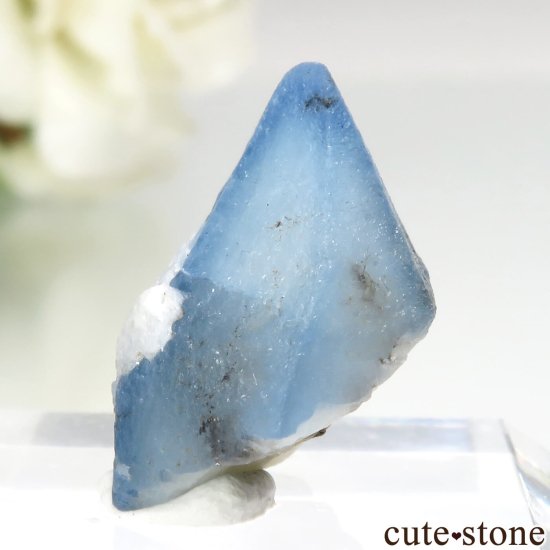 ե˥ Хե㡼 եʥȸ No.16μ̿2 cute stone