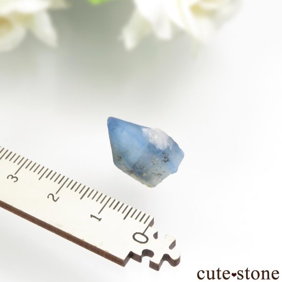 ե˥ Хե㡼 եʥȸ No.16μ̿4 cute stone