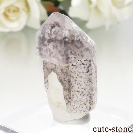 ʥߥӥ ԥɥȥ󥯥ġʥեġˤθ  No.5μ̿0 cute stone