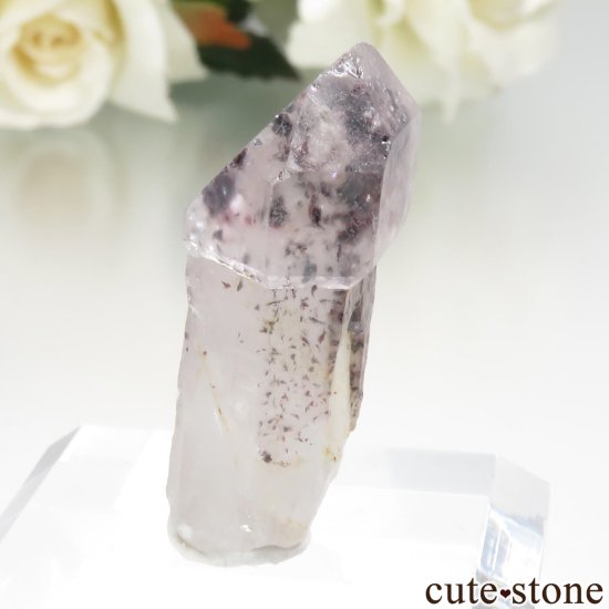 ʥߥӥ ԥɥȥ󥯥ġʥեġˤθ  No.5μ̿1 cute stone