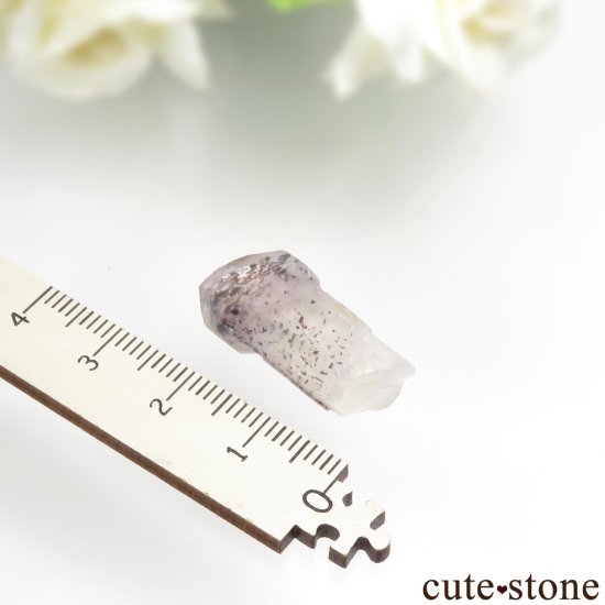 ʥߥӥ ԥɥȥ󥯥ġʥեġˤθ  No.5μ̿3 cute stone