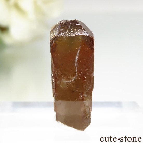 ե˥ Хե㡼 륳θ No.1μ̿1 cute stone