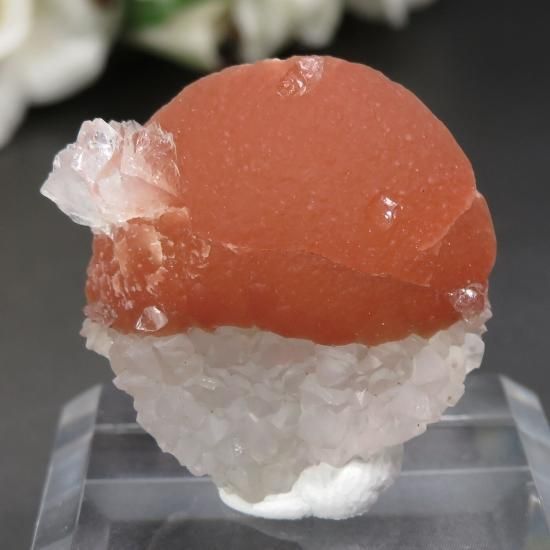 ɻ Υ󥸥ե饤ȡݥե饤ȡĤθ No.4