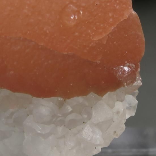 ɻ Υ󥸥ե饤ȡݥե饤ȡĤθ No.4μ̿4 cute stone