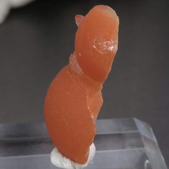 インド産 球体オレンジフローライト&アポフィライトの原石 No.5の写真2 cute stone