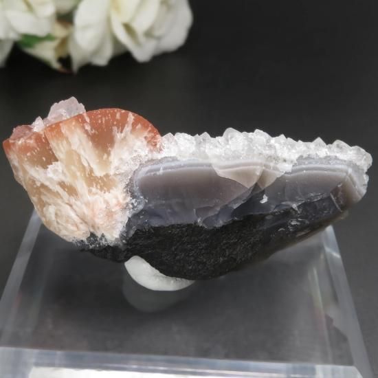 ɻ Υ󥸥ե饤ȡݥե饤ȡġȤθ No.8μ̿1 cute stone