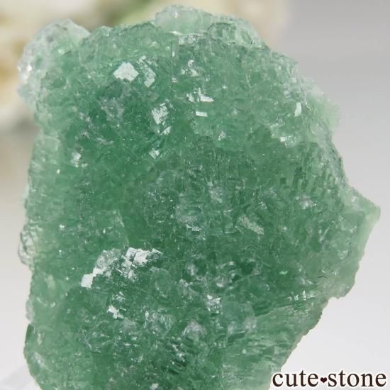  ʻ꡼ե饤Ȥθ No.7μ̿1 cute stone