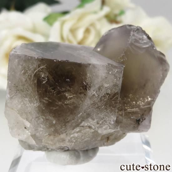 ڥꥯȾʡsherry twins ե饤 No.13 No.14 No.15μ̿1 cute stone