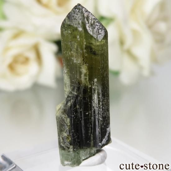 󥶥˥ Dodoma ꡼֥饦ȥޥθ No.2μ̿0 cute stone