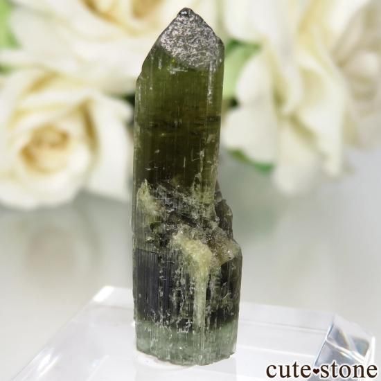 󥶥˥ Dodoma ꡼֥饦ȥޥθ No.2μ̿1 cute stone