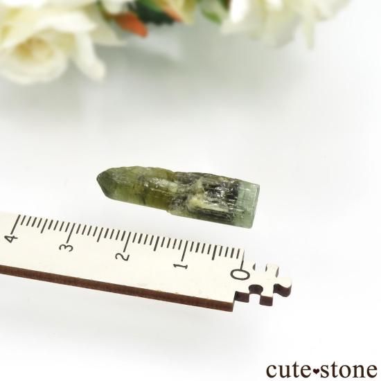 󥶥˥ Dodoma ꡼֥饦ȥޥθ No.2μ̿3 cute stone