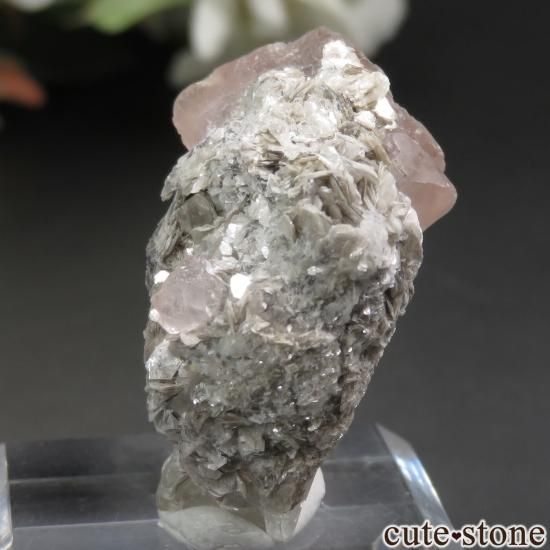 ѥ Chumar Bakhoor ԥ󥯥ե饤ȡ⥹ХȤθ No.58μ̿2 cute stone