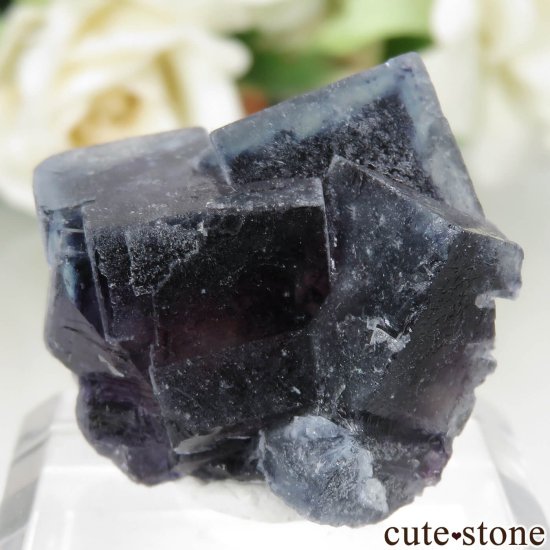 󥴥뼫 Yindu Ag-Pb-Zn deposit ե饤Ȥθ No.10μ̿0 cute stone