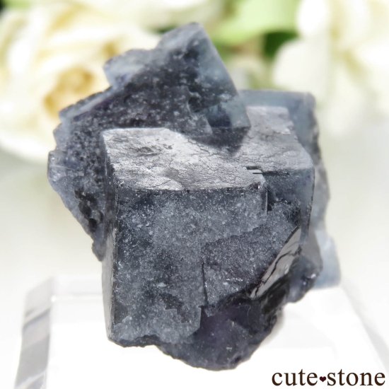 󥴥뼫 Yindu Ag-Pb-Zn deposit ե饤Ȥθ No.10μ̿1 cute stone
