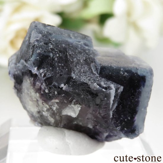 󥴥뼫 Yindu Ag-Pb-Zn deposit ե饤Ȥθ No.10μ̿2 cute stone