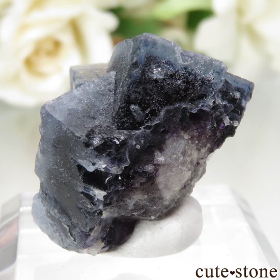 󥴥뼫 Yindu Ag-Pb-Zn deposit ե饤Ȥθ No.10μ̿3 cute stone