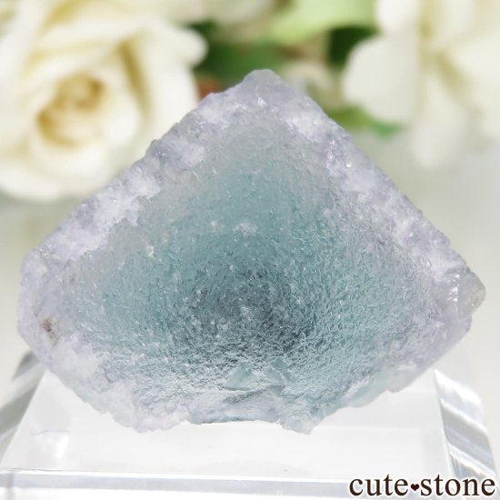 󥴥뼫 Yindu Ag-Pb-Zn deposit ե饤Ȥθ No.11μ̿1 cute stone