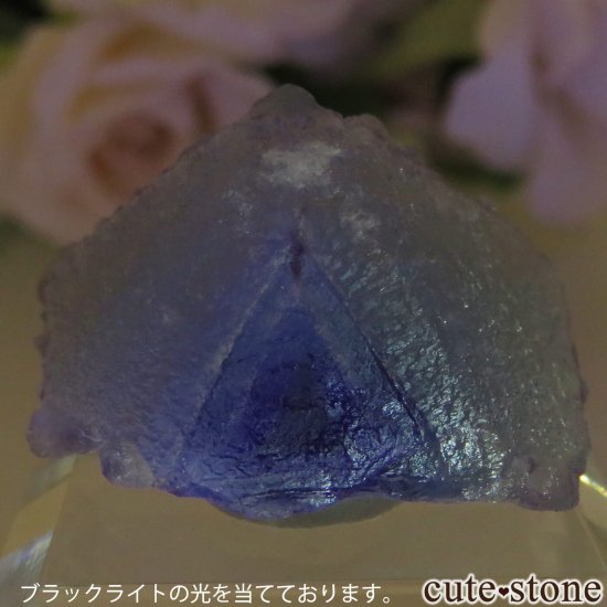 󥴥뼫 Yindu Ag-Pb-Zn deposit ե饤Ȥθ No.11μ̿5 cute stone