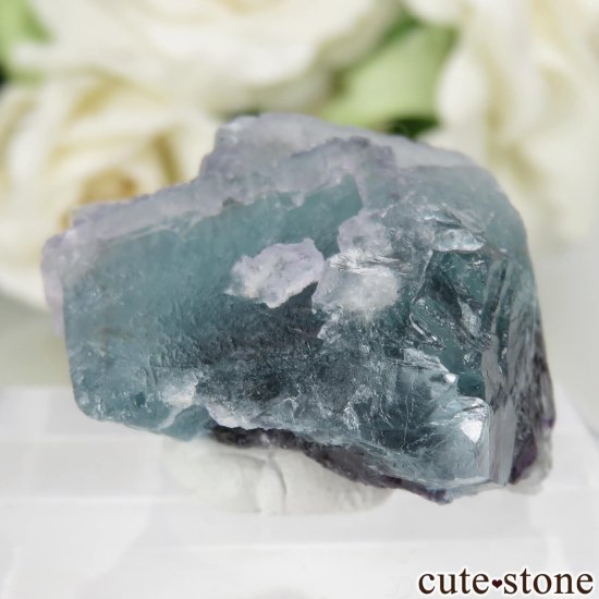 󥴥뼫 Yindu Ag-Pb-Zn deposit ե饤Ȥθ No.12μ̿1 cute stone