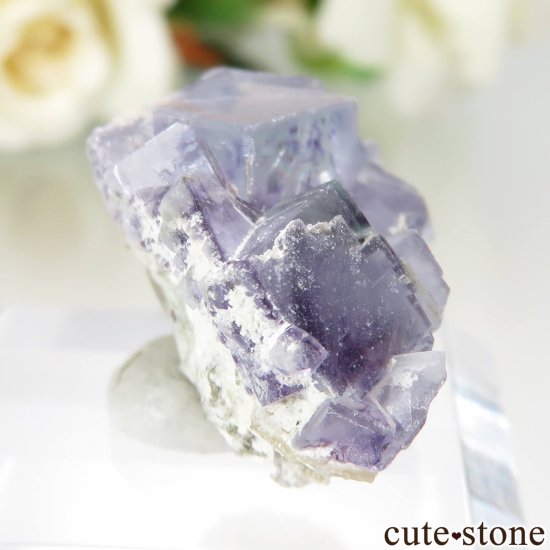 󥴥뼫 Yindu Ag-Pb-Zn deposit ե饤Ȥθ No.13μ̿0 cute stone
