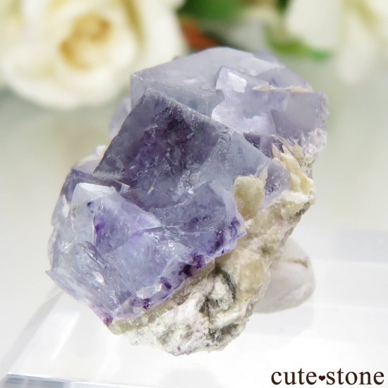 󥴥뼫 Yindu Ag-Pb-Zn deposit ե饤Ȥθ No.13μ̿1 cute stone