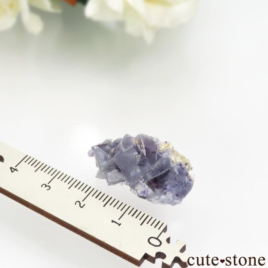 󥴥뼫 Yindu Ag-Pb-Zn deposit ե饤Ȥθ No.13μ̿2 cute stone