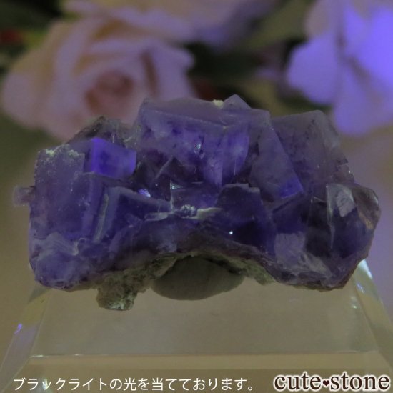 󥴥뼫 Yindu Ag-Pb-Zn deposit ե饤Ȥθ No.13μ̿3 cute stone