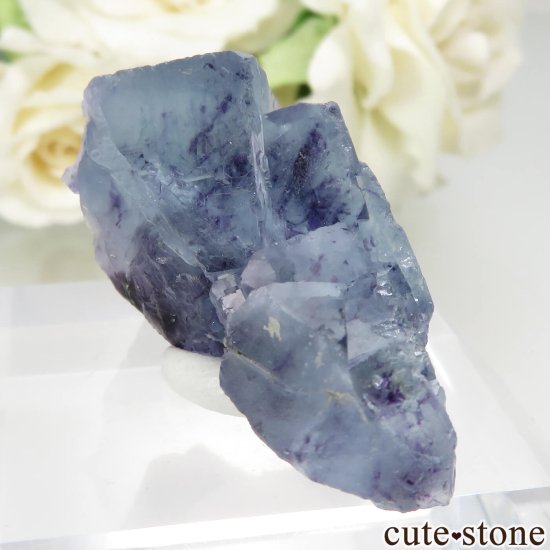 󥴥뼫 Yindu Ag-Pb-Zn deposit ե饤Ȥθ No.14μ̿0 cute stone