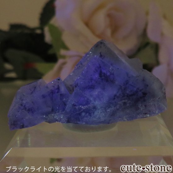 󥴥뼫 Yindu Ag-Pb-Zn deposit ե饤Ȥθ No.14μ̿4 cute stone