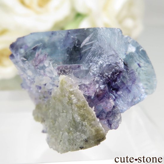 󥴥뼫 Yindu Ag-Pb-Zn deposit ե饤Ȥθ No.15μ̿1 cute stone