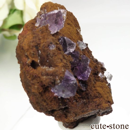 ᥭ Ojuela Mine (ϥ) ե饤Ȥθ No.1μ̿0 cute stone