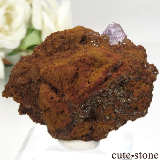 ᥭ Ojuela Mine (ϥ) ե饤Ȥθ No.1μ̿1 cute stone