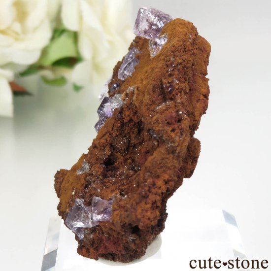 ᥭ Ojuela Mine (ϥ) ե饤Ȥθ No.1μ̿2 cute stone