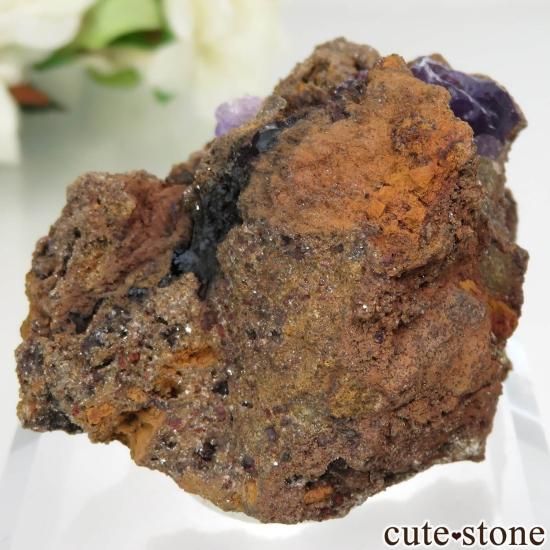 ᥭ Ojuela Mine (ϥ) ե饤Ȥθ No.2μ̿0 cute stone